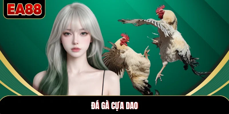 Đá Gà Cựa Dao - Nơi Quy Tụ Ván Đấu Nghẹt Thở, Thưởng Đậm