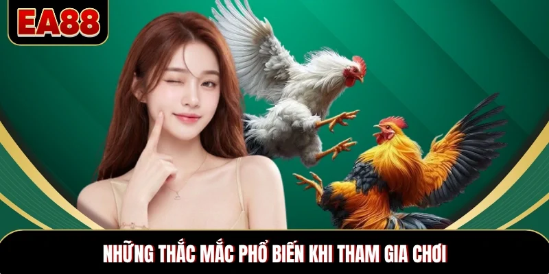 Những thắc mắc phổ biến khi tham gia 