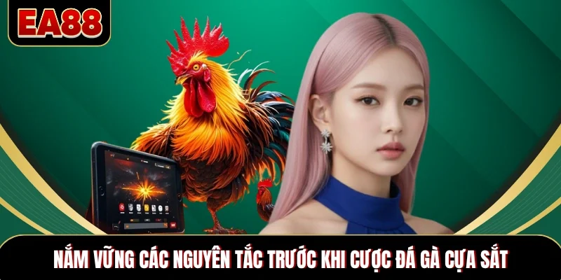 Nắm vững các nguyên tắc trước khi cược đá gà cựa sắt