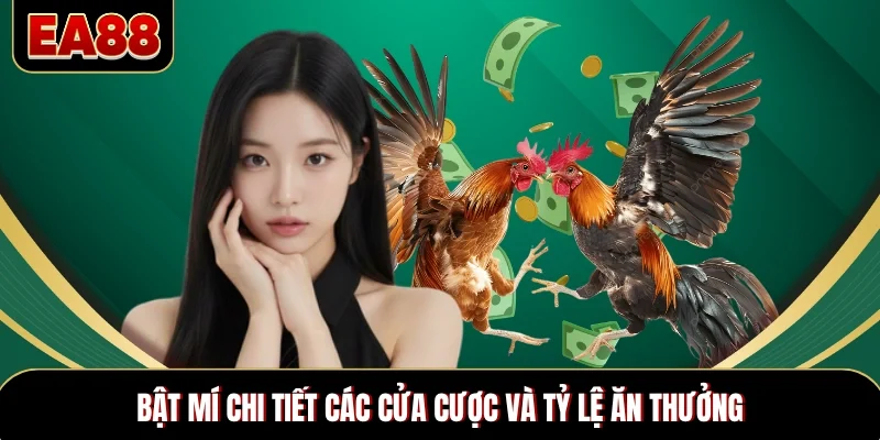 Bật mí chi tiết các cửa cược và tỷ lệ ăn thưởng