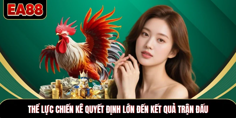 Thể lực chiến kê quyết định lớn đến kết quả trận đấu