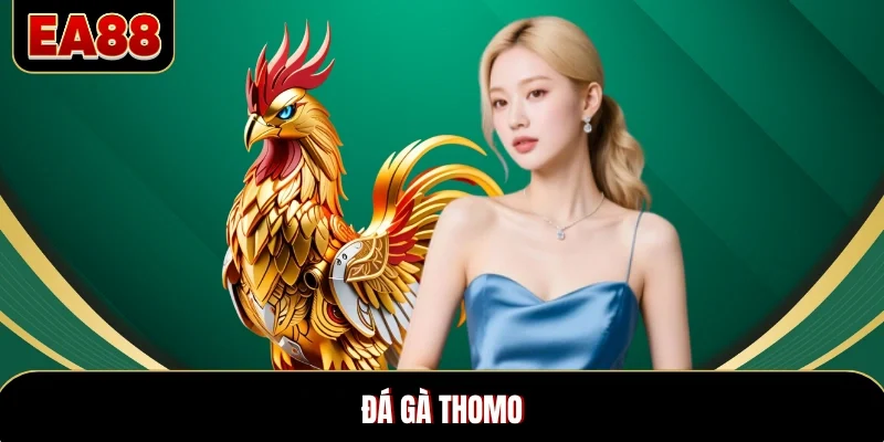 Đá Gà Thomo EA88 - Cực Cháy Với Loạt Trận Đấu Đỉnh Cao