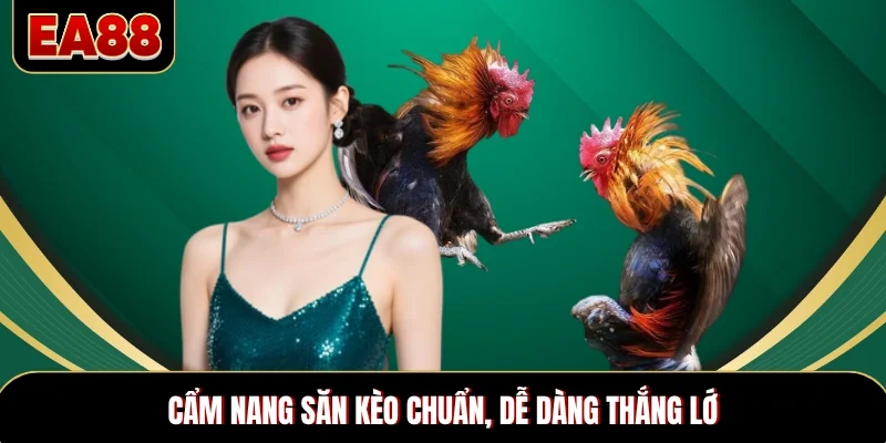 Cẩm nang săn kèo chuẩn, dễ dàng thắng lớn da-ga-thomo-meo-thang-lon