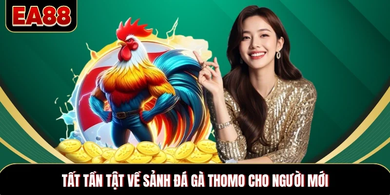 Tất tần tật về sảnh đá gà Thomo cho người mới