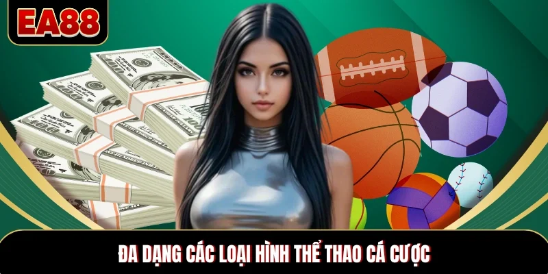 Đa dạng các loại hình thể thao cá cược